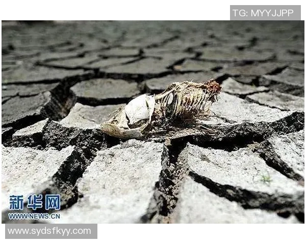 记者透露河床对迈阿密引援目标穆拉展开谈判引发关注